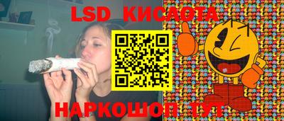 бошки Кандалакша