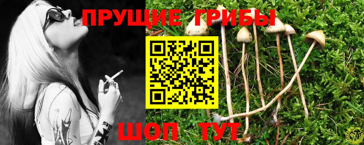 Киржач  Галлюциногенные грибы MAGIC MUSHROOMS  Вход с VPN 
