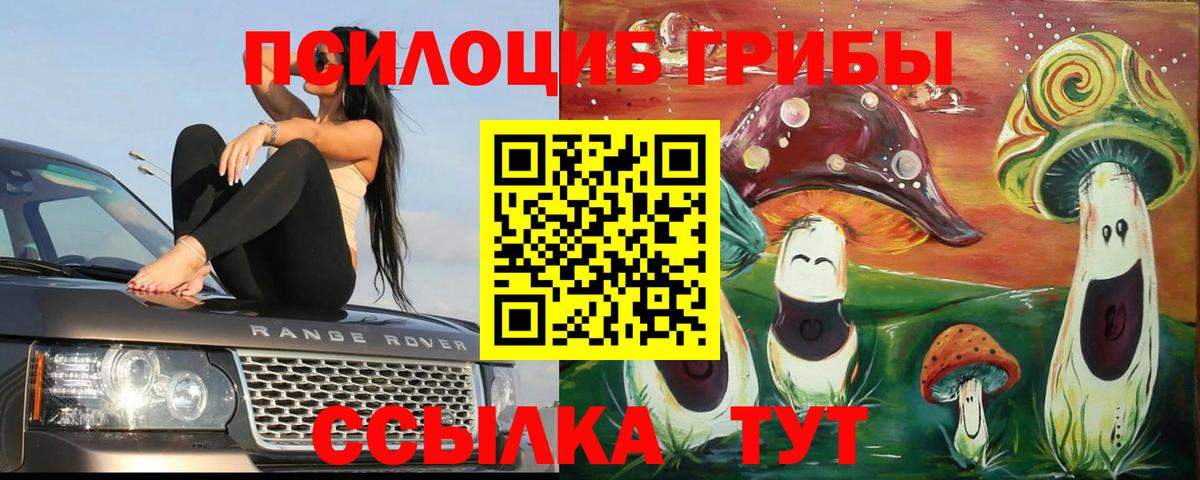 Галлюциногенные грибы мухоморы Киржач